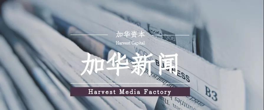 意大利贵宾会(中国区)官方网站入口